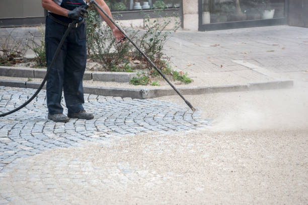 Trusted Wagener, SC Pressure Washing Services Experts